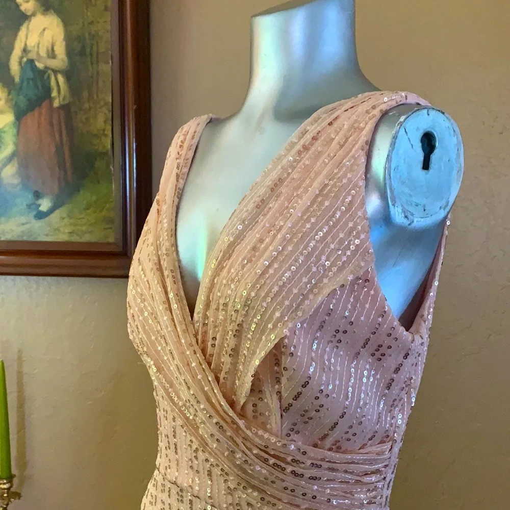 NWT DFI Los Angeles Long Blush Sequin Dress.  Sz M
